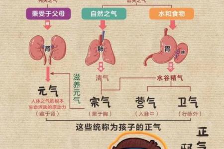 知识：人体如何感知影响风水的