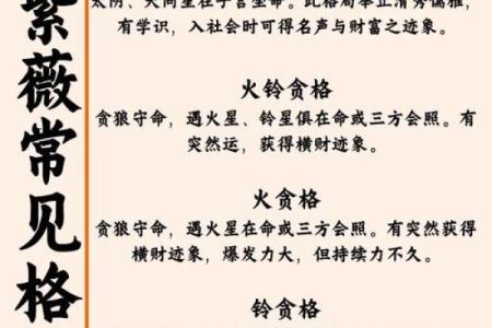 紫薇斗数庚子年
