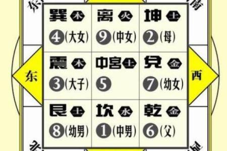商业：办公养花风水与五行八卦