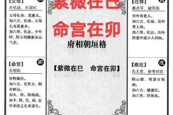 紫微斗数公务员令东来 紫微斗数公务员格局？