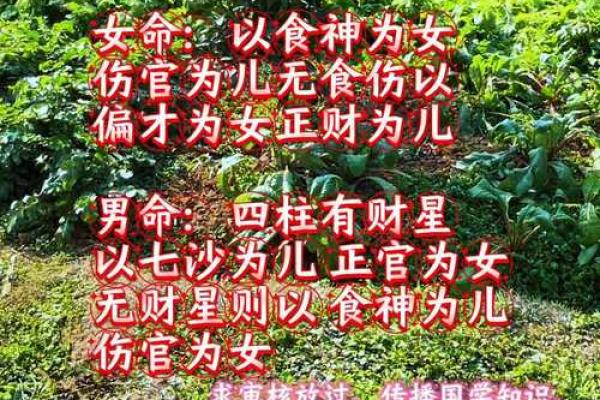 算命先生说灵儿跟着我
