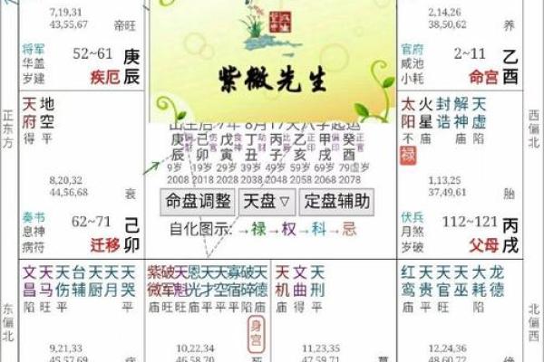 哪里有紫薇斗数算命