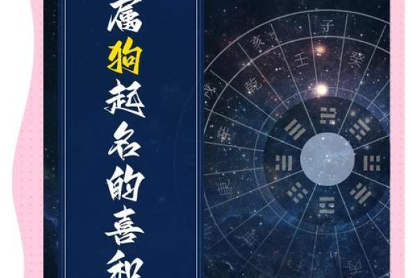 上午10点出生的属狗男孩如何取名，宜用什么字姓名