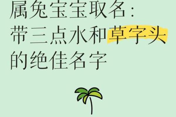 早上8点出生的属兔男孩如何取名姓名