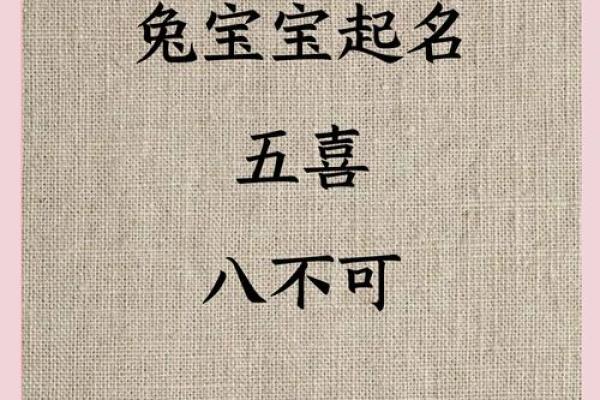 早上8点出生的属兔男孩如何取名姓名