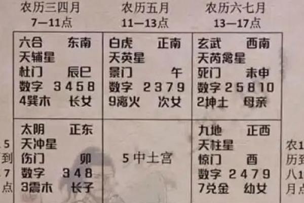风水堪舆_奇门遁甲等一体的书