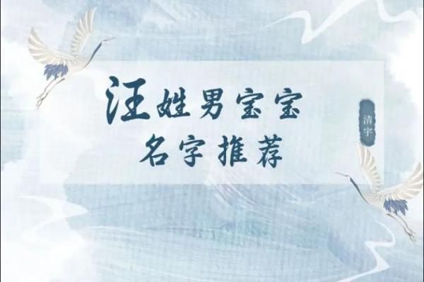姓汪的名人-姓名学-华易算命网姓名