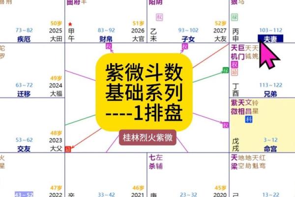 假从紫微斗数 紫微斗数实战？