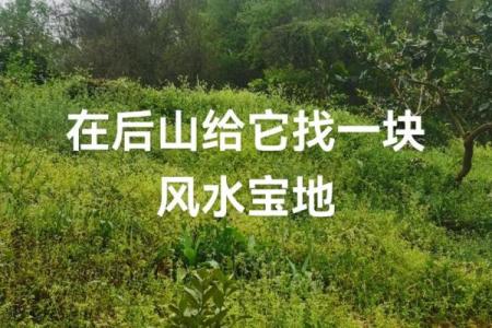 寻找风水宝地的方法有哪些