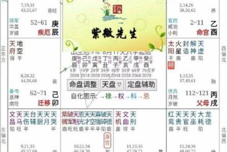 哪里有紫薇斗数算命