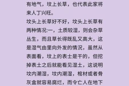 农村房子长草风水好吗