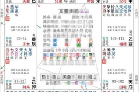 紫薇斗数知乎