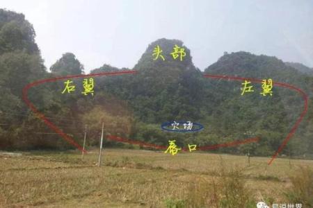 下山凤形风水如何在家中营造良好的风水环境