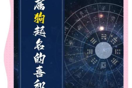 上午10点出生的属狗男孩如何取名，宜用什么字姓名