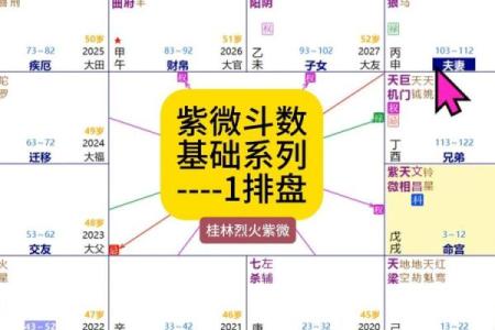 假从紫微斗数 紫微斗数实战？