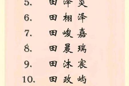 属龙酉时出生的男孩要什么名字好，适合什么字姓名