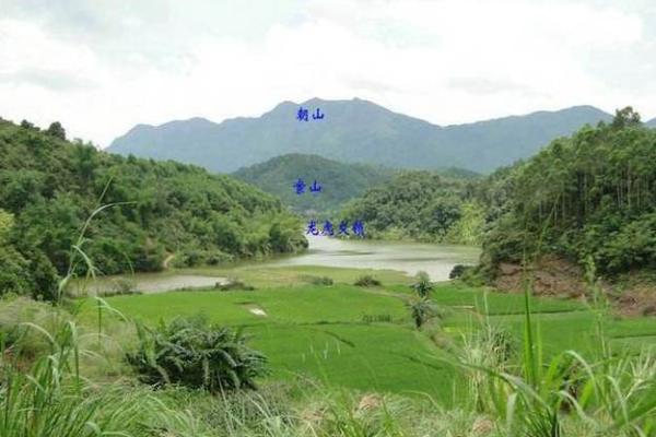 墓地朝向风水，凶吉自断不求人