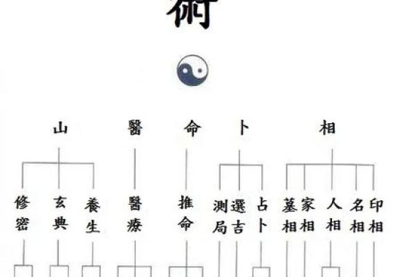 看紫薇斗数的人