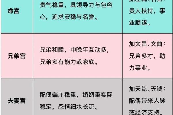 紫微斗数终极 紫微斗数解释？
