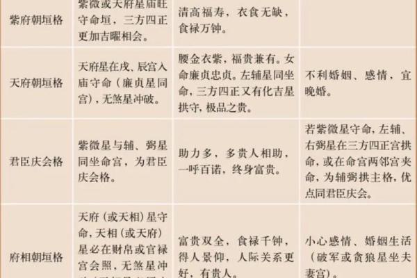 紫微斗数终极 紫微斗数解释？