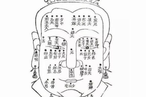 看脸上胎记算命知命运