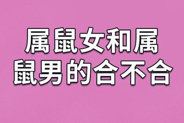 算婚姻属鼠男和属猴女八字相合吗 婚姻好吗