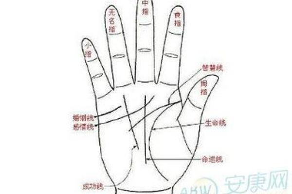 男人九种手相算命图解