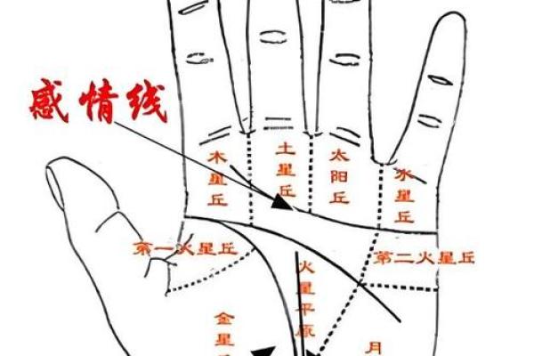 男人九种手相算命图解