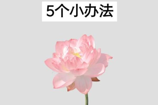 让商场生意红火的风水秘诀