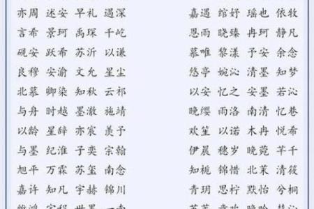 属猪寅时出生的男孩怎么取名字，宜用什么字姓名