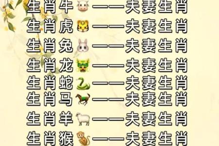 属龙和属鼠的八字合吗