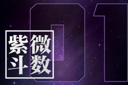 哔哔哩哔哩官网紫微斗数 哔哩哔哩bi？