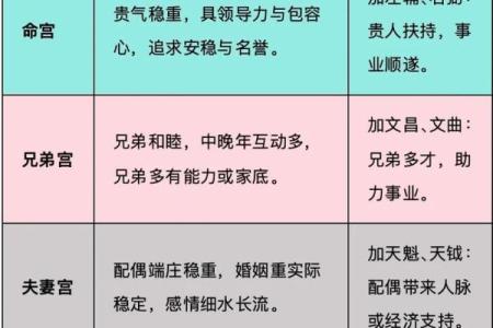 紫微斗数终极 紫微斗数解释？