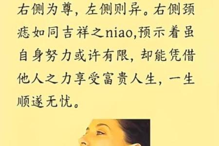 算命命中有几个子女 子女运跟下巴饱满有关
