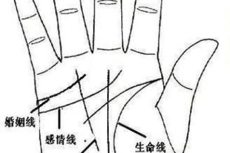 免费扫一扫看手相算命,扫一扫看手相算命