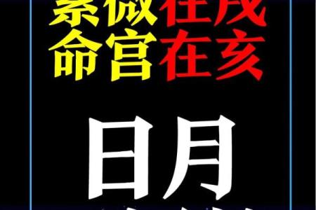 紫微斗数114种命盘