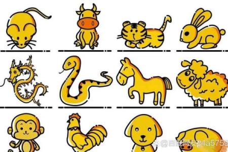 【八字扒开猜动物】猜猜你生肖是哪一只？
