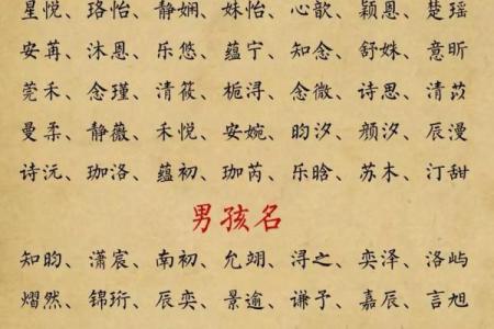 宝宝名字测试 宝宝名字选对了吗