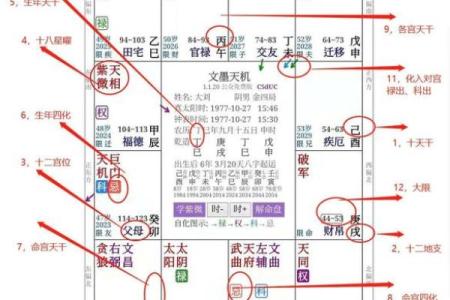 紫云紫薇斗数系列