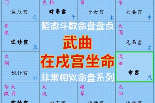紫微斗数之事业宫与诸星,巨门星在事业宫是什么意思? 紫微斗数之事业宫与诸星,巨门星在事业宫是什么意思?
