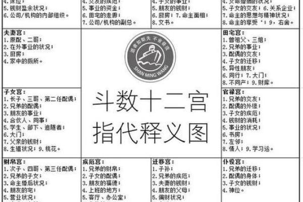 紫薇斗数命格详解
