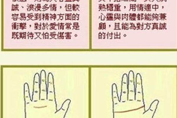 如何看手相算命看手相怎么看 如何看手相算命图片大全图解