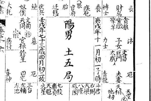 紫薇斗数全书架构