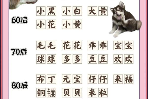 给狗狗起名字-狗名大全-母狗狗的名字-公狗狗的名字-名字大全-华易算命网姓名