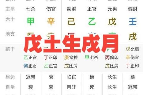 子戌暗合会发生什么事,八字婚姻宫暗合不适合结婚