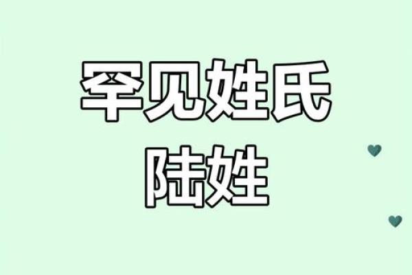 姓陆的名人-姓名学-华易算命网姓名