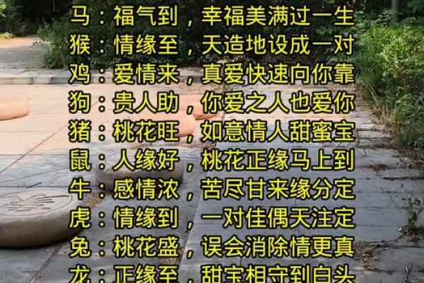 姻缘测试打分 测婚姻缘分测试？