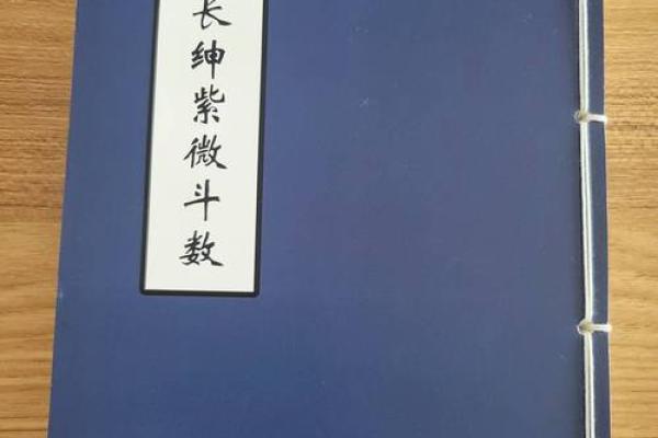 紫薇斗数丁年