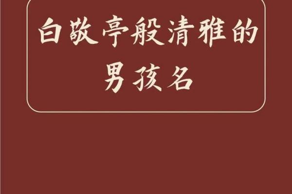 2019年4月17号子时出生的男孩应该起什么样的名字姓名