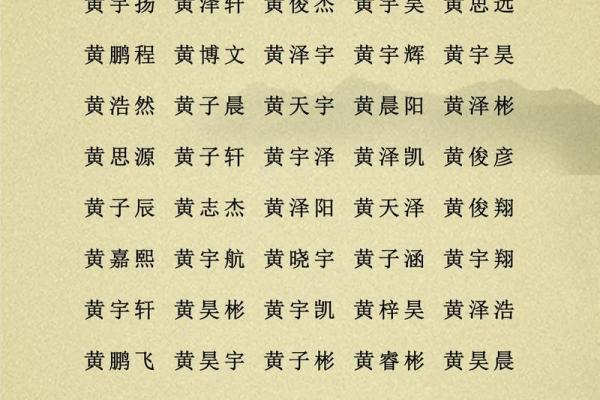 2019年4月17号子时出生的男孩应该起什么样的名字姓名